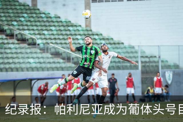 纪录报：帕利尼亚成为葡体头号目标，希望在新赛季开始前敲定交易